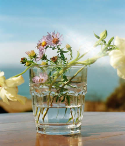 Adobe Lightroom Classic v15.1 Multilingual