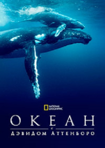 National Geographic. ����� � ������� ��������� / Ocean with David Attenborough [2025, ��������������, WEB-DL 2160p] [DVO|NG]