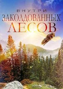 ������ ������������� ����� / Inside the Enchanted Forests / 6 �� 6 ����� [2024, ��������������, WEB-DL 1080p] [VO|Pazl Voice]