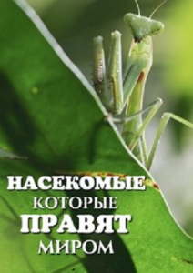 ���������, ������� ������ ����� / Bugs That Rule the World / 4 �� 4 ����� [2025, ��������������, WEB-DL 1080p] [DVO|Pazl Voice]