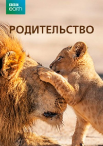 ������������ / Parenthood / 5 �� 5 ����� [2025, ��������������, BDRip 720p] [DVO|Pazl Voice]