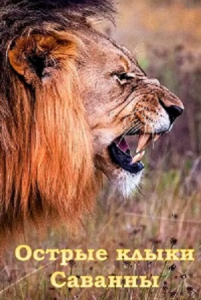 ������ ����� ������� / The Teeths of the Savannah [2024, ��������������, HDTV 1080i] [VO]