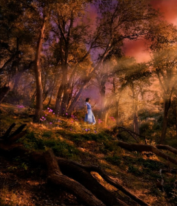 Adobe Premiere Pro 2026 (v26.0.1) Multilingual