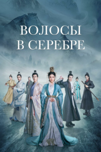 Волосы в серебре / Серебряная принцесса / Bai fa / Princess Silver / Сезон: 1 / Серии: 1-58 из 58 (Ли Хуэй Чжу) [2019, Романтика, драма, исторический, фэнтези, WEB-DL 1080p] [MVO|Voize]
