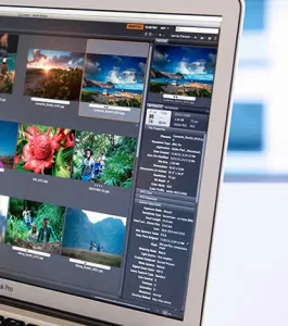 Adobe Bridge 2026 (v16.0.7) Multilingual
